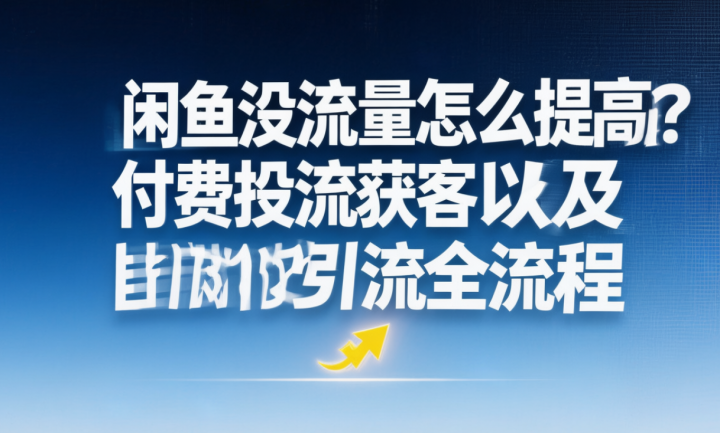 闲鱼没流量怎么提高?付费投流获客以及自动化引流全流程-网创大婶
