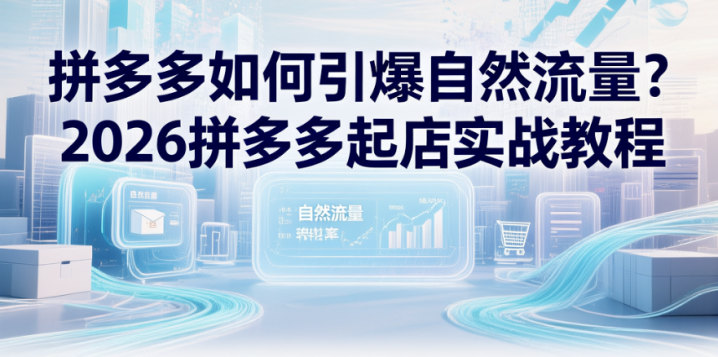 拼多多如何引爆自然流量?2026拼多多起店实战教程-网创大婶