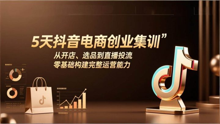 电商创业项目有哪些?5天抖音电商创业集训挣钱-网创大婶