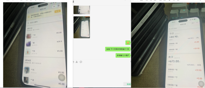 在互联网上做什么，月入10W。别在当韭菜了！实战分享！-网创大婶